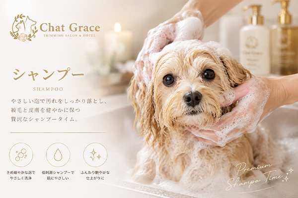シャンプー