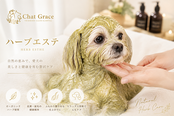 カウンセリング無料