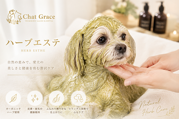 ハーブエステ