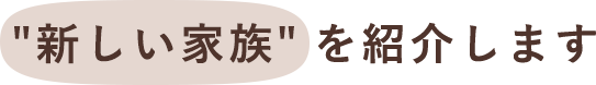 新しい家族を紹介します