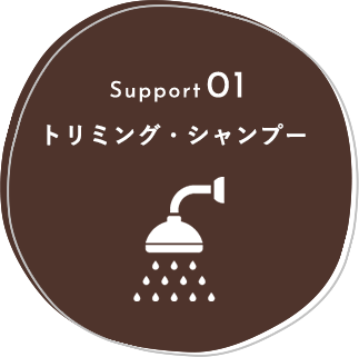Support01 トリミング・シャンプー